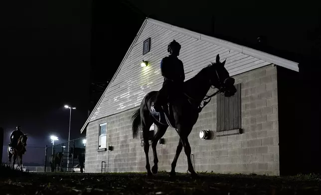 A horse heads back to a barn after a workout at Churchill Downs Tuesday, April 28, 2026, in Louisville, Ky. (AP Photo/Charlie Riedel)