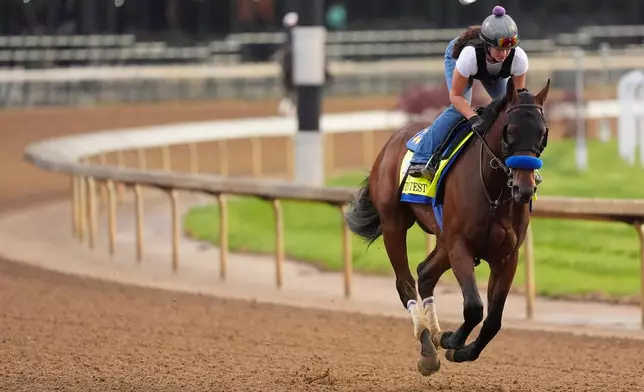 Kentucky Derby entrant Litmus Test works out at Churchill Downs Tuesday, April 28, 2026, in Louisville, Ky. (AP Photo/Charlie Riedel)