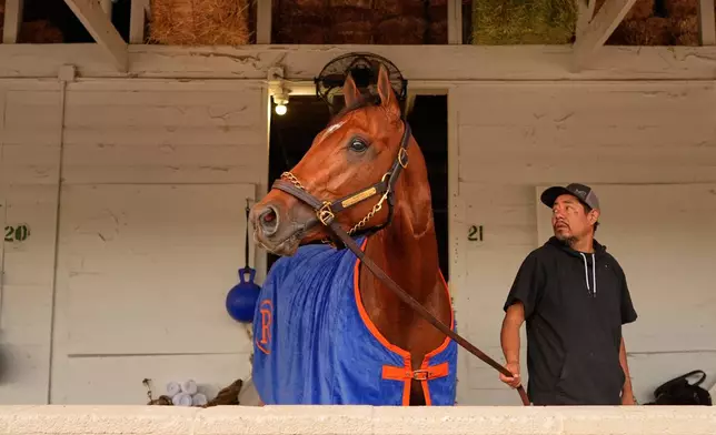 Kentucky Derby entrant Renegade looks out from his barn after a workout at Churchill Downs Monday, April 27, 2026, in Louisville, Ky. (AP Photo/Charlie Riedel)