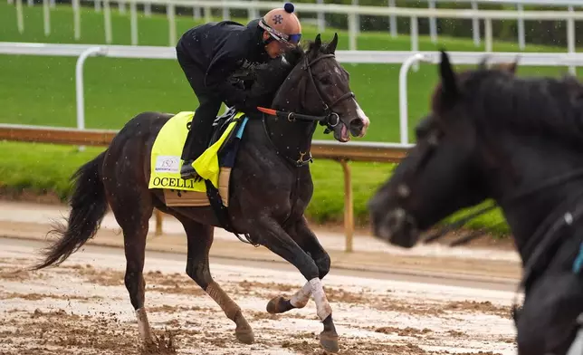 Kentucky Derby alternate Ocelli works out at Churchill Downs Wednesday, April 29, 2026, in Louisville, Ky. (AP Photo/Charlie Riedel)