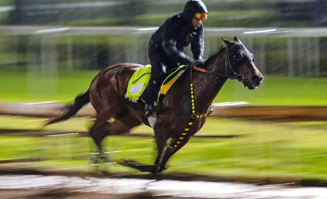 Kentucky Derby alternate Robusta works out at Churchill Downs Wednesday, April 29, 2026, in Louisville, Ky. (AP Photo/Charlie Riedel)