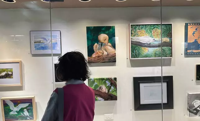 A person looks at art depicting white tern seabirds displayed at Capitol Modern: The Hawaii State Art Museum, Saturday, March 28, 2026, in Honolulu. (AP Photo/Audrey McAvoy)