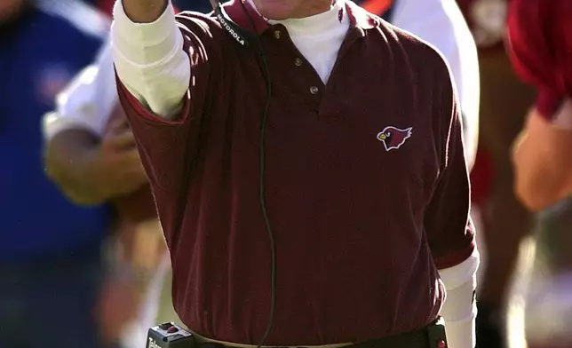 FILE - Arizona Cardinals interim head coach Dave McGinnis cheers on his team during the second quarter of an NFL football game against the Baltimore Ravens, Dec. 17, 2000, in Tempe, Ariz. (AP Photo/Matt York, File)