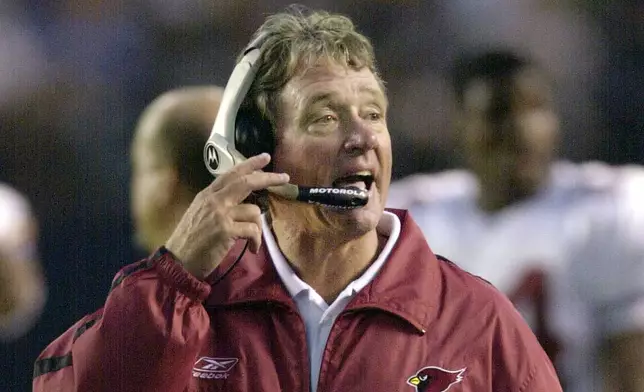 FILE - Arizona Cardinals coach Dave McGinnis shouts instructions during a preseason NFL football game against the San Diego Chargers, Aug. 10, 2002, in San Diego. (AP Photo/Lenny Ignelzi, File)