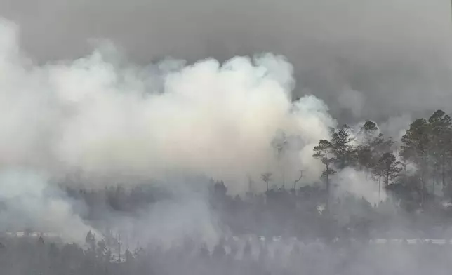 The photo provided by the Office of Gov. Brian Kemp shows smoke produced by a wildfire in Brantley County, Ga., Friday, April 24, 2026. (Office of Gov. Brian Kemp via AP)