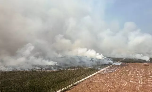 The photo provided by the Office of Gov. Brian Kemp shows smoke produced by a wildfire in Brantley County, Ga., Friday, April 24, 2026. (Office of Gov. Brian Kemp via AP)