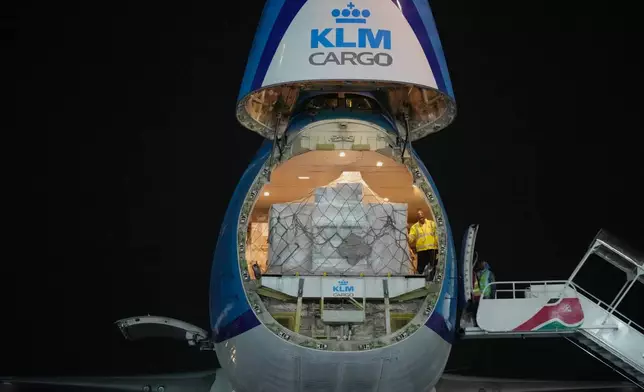 Four mountain bongos, a type of antelope, repatriated from the Czech Republic, are offloaded from a plane at Jomo Kenyatta International Airport in Nairobi, Kenya, Tuesday, April 28, 2026. (AP Photo/Brian Inganga) CORRECTION: Type corrected to antelope, instead of gazelle