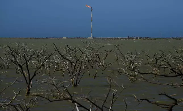 A gas company operates near submerged trees in Manaure, Colombia, Thursday, Feb. 6, 2025. (AP Photo/Ivan Valencia)
