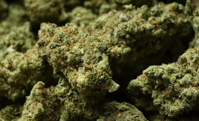 Shown is marijuana at NJ Weedman's Joint dispensary in Trenton, N.J., Thursday, April 23, 2026. (AP Photo/Matt Rourke)