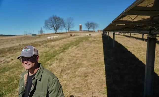 Daniel Bell watches his sheep graze Friday, Feb. 20, 2026, at a farm in Lancaster, Ky. (AP Photo/Joshua A. Bickel)