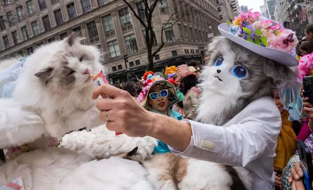 Stanley feeds his cat Picco during the Easter Bonnet Parade on Fifth Avenue, Sunday, April 5, 2026, in New York. (AP Photo/Adam Gray)