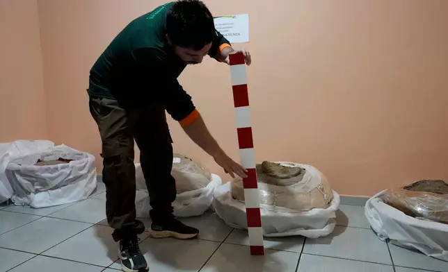 Archaeologist Manoel Fabiano da Silva Santos shows a soil layer scale while explaining the historical timeline at National Department of Transport Infrastructure in Macapa, Amapa state, Brazil, Saturday, March 14, 2026. (AP Photo/Eraldo Peres)