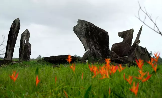 Grass and flowers surround the Archaeological Park of the Solstice, which some call the "Stonehenge of the Amazon" in Calcoene, Amapa state, Brazil, Friday, March 13, 2026. (AP Photo/Eraldo Peres)