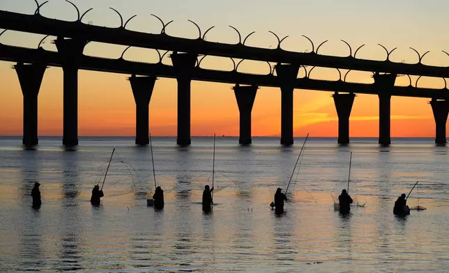 Men fish smelt fish (named locally as koryushka) known as a special local delicacy, famous for its "cucumber" smell, which passes in April from the Baltic Sea to Lake Ladoga via St. Petersburg to spawn, in St. Petersburg, Russia, Monday, April 20, 2026, with a highway bridge in the background. (AP Photo/Dmitri Lovetsky)