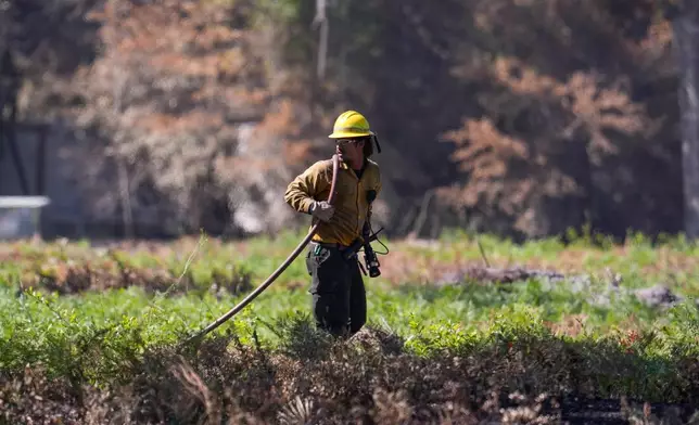 A firefighter works the Brantley Highway 82 fire, Thursday, April 23, 2026, near Nahunta, Ga. (AP Photo/Mike Stewart)