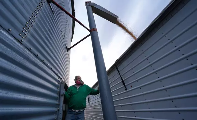 Doug Bartek transfers soybeans from a storage bin to a truck on his farm near Wahoo, Neb., on Monday, April 6, 2026. (AP Photo/Charlie Riedel)