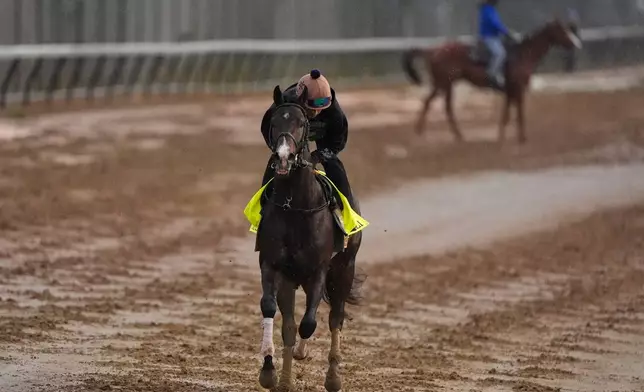 Kentucky Derby alternate Ocelli works out at Churchill Downs Wednesday, April 29, 2026, in Louisville, Ky. (AP Photo/Charlie Riedel)