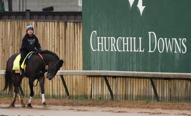 Kentucky Derby alternate Ocelli works out at Churchill Downs Wednesday, April 29, 2026, in Louisville, Ky. (AP Photo/Charlie Riedel)