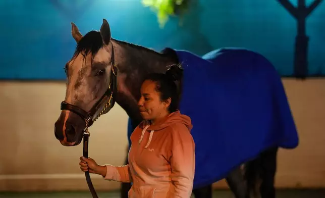Kentucky Derby entrant Fulleffort is led away after getting a bath following a workout at Churchill Downs Monday, April 27, 2026, in Louisville, Ky. (AP Photo/Charlie Riedel)