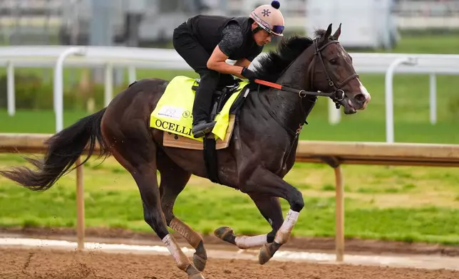 Kentucky Derby alternate Ocelli works out at Churchill Downs Tuesday, April 28, 2026, in Louisville, Ky. (AP Photo/Charlie Riedel)