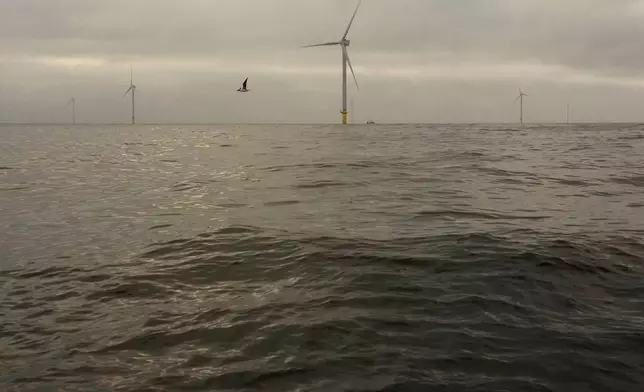 A bird flies near turbines at Revolution Wind offshore wind farm off the coast of Rhode Island, Thursday, April 23, 2026. (AP Photo/Joshua A. Bickel)