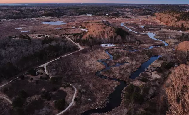 This photo shows the Tidmarsh Wildlife Sanctuary in Plymouth, Mass., Sunday, March 15, 2026. (AP Photo/Stephanie Scarbrough)