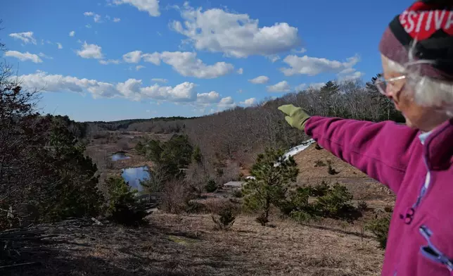 Glorianna Davenport, founder of the Living Observatory, overlooks a stream cutting through Tidmarsh Wildlife Sanctuary in Plymouth, Mass., Saturday, March 14, 2026. (Julia Vaz/MIT Graduate Program in Science Writing via AP)