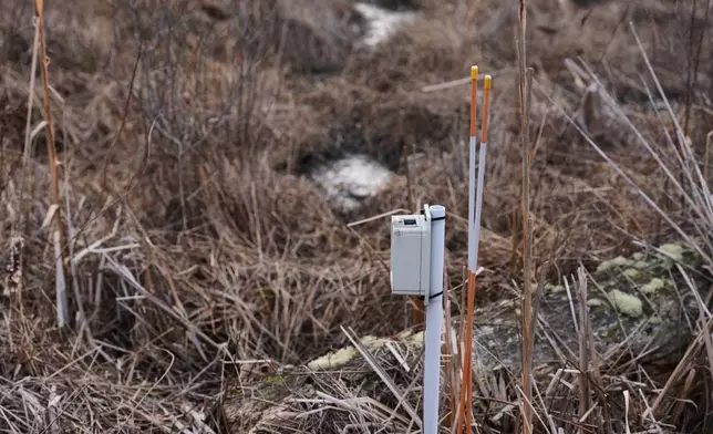 A Living Observatory sensor that measures temperature, humidity and atmospheric pressure is seen at Tidmarsh Wildlife Sanctuary in Plymouth, Mass., Sunday, March 15, 2026. (Jamie Jiang/MIT Graduate Program in Science Writing via AP)