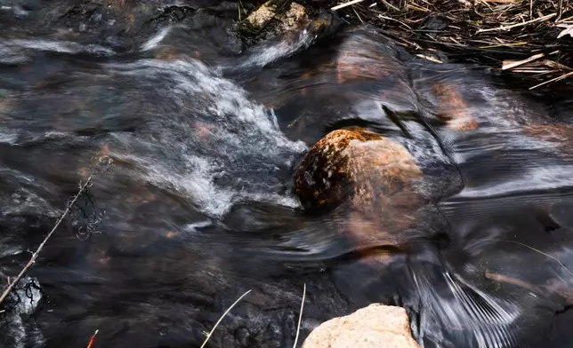 Water flows down a stream at Tidmarsh Wildlife Sanctuary, a restored wetland in Plymouth, Mass., Saturday, March 14, 2026. (Julia Vaz/MIT Graduate Program in Science Writing via AP)