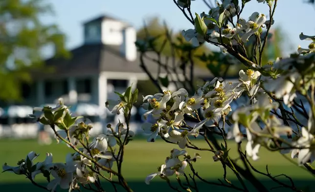 FILE - Dogwood flowers frame the clubhouse during a practice round for the Masters golf tournament on April 5, 2021, in Augusta, Ga. (AP Photo/David J. Phillip, File)