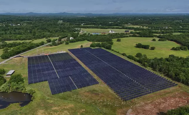Solar panels operate on a farm with cattle Tuesday, April 28, 2026, in Christiana, Tenn. (AP Photo/Joshua A. Bickel)