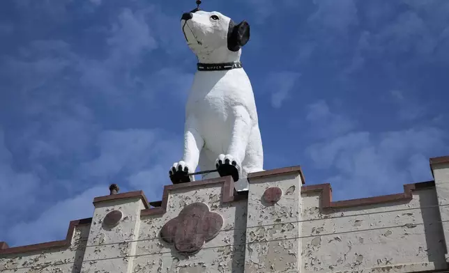 A giant statue of Nipper the dog sits atop of building in the warehouse district in Albany, N.Y., Tuesday, April 21, 2026.(AP Photo/Michael Hill)