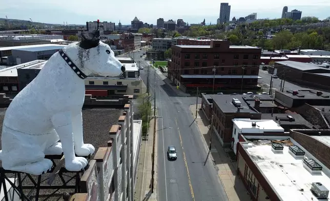 A giant statue of Nipper the dog sits atop a building in the warehouse district in Albany, N.Y., Tuesday, April 21, 2026. (AP Photo/Ted Shaffrey)