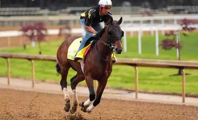 Kentucky Derby entrant Silent Tactic works out at Churchill Downs Tuesday, April 28, 2026, in Louisville, Ky. (AP Photo/Charlie Riedel)