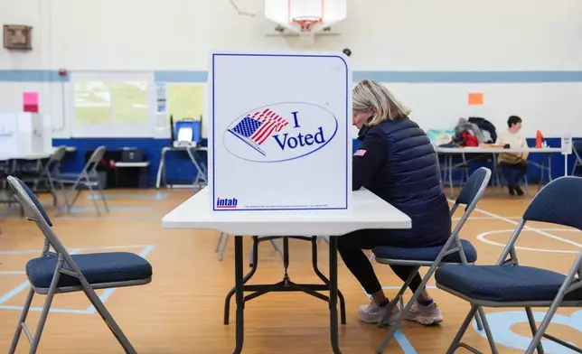 A person votes in the Virginia redistricting referendum at Lyles-Crouch Traditional Academy, Tuesday, April 21, 2026, in Alexandria, Va. (AP Photo/Julia Demaree Nikhinson)