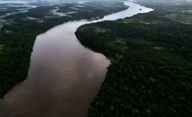 Trees line the Oiapoque River on the border between Brazil and French Guiana, in Oiapoque, Amapa state, Brazil, Tuesday, March 10, 2026. (AP Photo/Eraldo Peres)