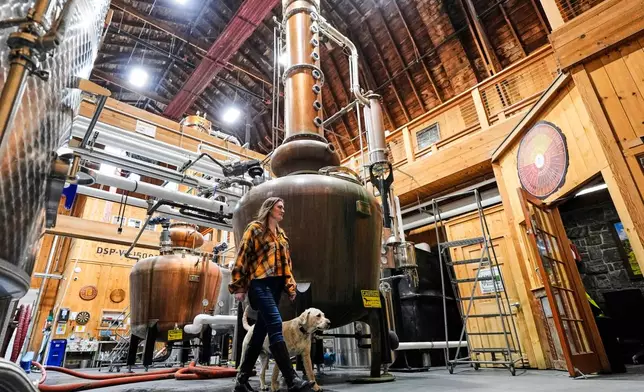 Meghan Ireland and her dog, Murphy, walk by one of the 750-gallon pot and column whiskey stills at the WhistlePig distillery Monday, April 6, 2026, in Shoreham, Vermont. (AP Photo/Robert F. Bukaty)