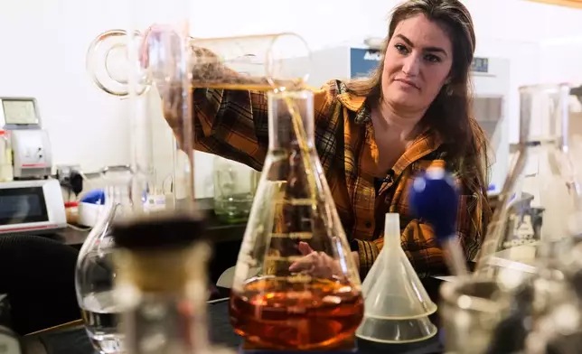 Meghan Ireland, the chief blender at the WhistlePig whisky distillery, pours a sample into a beaker in the lab Monday, April 6, 2026, in Shoreham, Vermont. (AP Photo/Robert F. Bukaty)