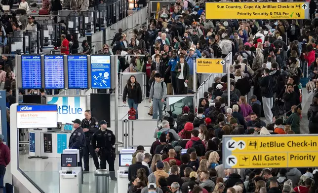 FILE - People wait in a TSA line at the John F. Kennedy International Airport, March 22, 2026, in New York. (AP Photo/Yuki Iwamura, File)