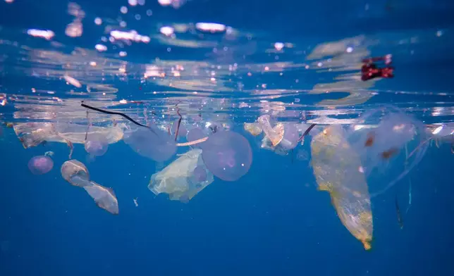 Plastic waste floats alongside jellyfish at the Blue Magic dive site in Raja Ampat, Indonesia, Sunday, March 8, 2026. (AP Photo/Claudia Rosel)