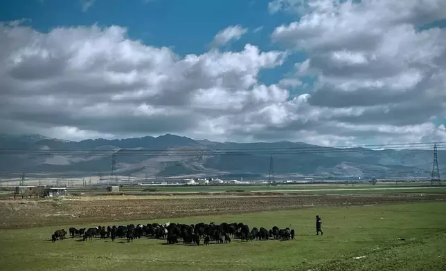 A shepherd is seen with his flock in a field next to Road 2 outside Zanjan, Iran, Thursday, April 9, 2026. (AP Photo/Francisco Seco)