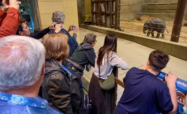 People visit the Elephant Community Center as 10-week-old Asian elephant calf Linh Mai makes her public debut at the National Zoo, Wednesday April 22, 2026, in Washington. (AP Photo/Jacquelyn Martin)