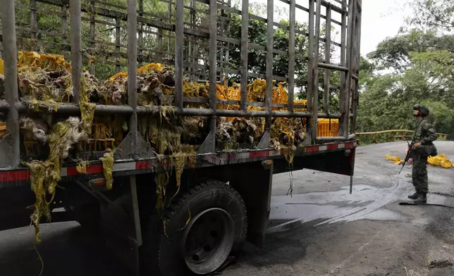 Soldiers stand next to a truck carrying chickens that was set on fire by dissident factions of the former FARC rebels in Jamundi, Colombia, Monday, April 27, 2026. (AP Photo/Santiago Saldarriaga)