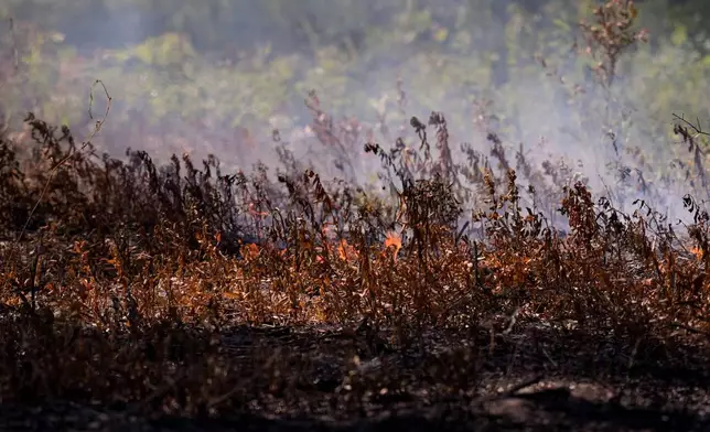 A fire burns as the Brantley Highway 82 fire burns, Thursday, April 23, 2026, near Nahunta, Ga. (AP Photo/Mike Stewart)