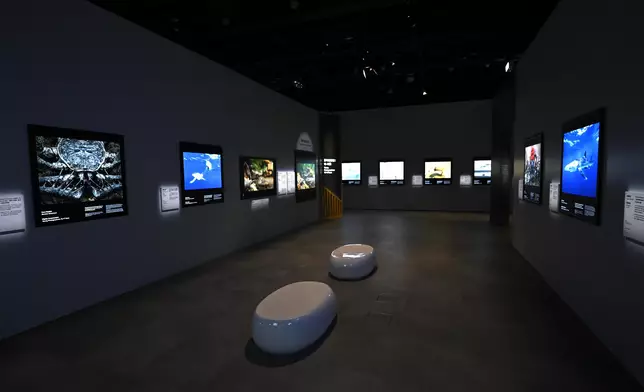 Hong Kong Science Museum to launch new exhibitions and 35th anniversary-themed activities  Source: HKSAR Government Press Releases