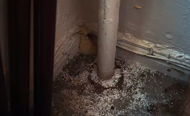 Foam sealant and rat poison sit around a pipe inside Marina Quiroz's home in an apartment building where tenants report maintenance issues and pest infestations, in the Bronx borough of New York, Tuesday, March 17, 2026. (AP Photo/Andres Kudacki)