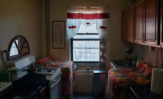 A curtain hangs over the window in Marina Quiroz's kitchen in an apartment building where tenants report maintenance issues and pest infestations, in the Bronx borough of New York, Tuesday, March 17, 2026. (AP Photo/Andres Kudacki)
