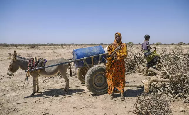 Children seeking water bring their donkey cart to a well, dug into the bottom of what should be a lake, surrounded by thorny brush to prevent livestock from falling in Thursday, Jan. 8, 2026, in Afcadde, Ethiopia. (AP Photo/Julianne Gauron)