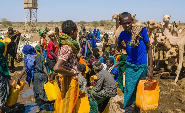 Amid a drought, herders gather after traveling to a well to get water for their livestock Friday Jan. 9, 2026, in Sanqotor, Ethiopia. (AP Photo/Julianne Gauron)