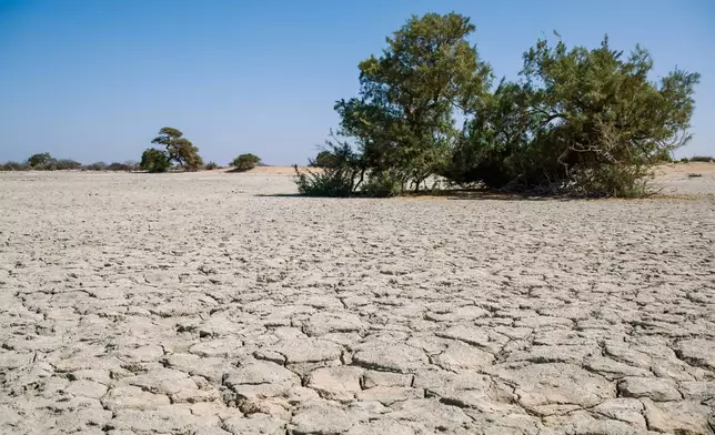Amid a drought, a lake that should be full now, remains dry Thursday Jan. 8, 2026, outside Afcadde, Ethiopia. (AP Photo/Julianne Gauron)